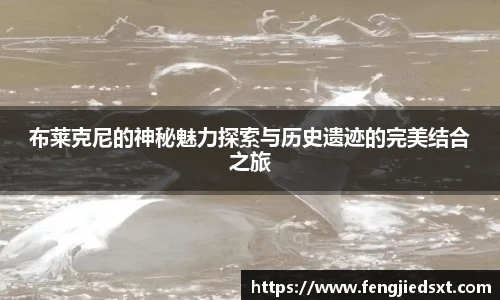 布莱克尼的神秘魅力探索与历史遗迹的完美结合之旅